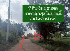 ขายที่ดิน 360 ตารางวา ราคา 290,000 บาท-202507111138311752208711342.jpg