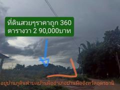 ขายที่ดิน 360 ตารางวา ราคา 290,000 บาท-202507111138321752208712684.jpg