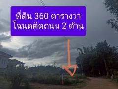 ขายที่ดิน 360 ตารางวา ราคา 290,000 บาท-202507111138331752208713820.jpg