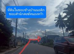 ขายที่ดิน 360 ตารางวา ราคา 290,000 บาท-202507111138361752208716701.jpg