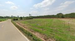 ขายที่ดิน ต.วังเย็น อ.แปลงยาว จ.ฉะเชิงเทรา พื้นที่ 19 -2-02 ไร่-202507111536391752222999787.jpg