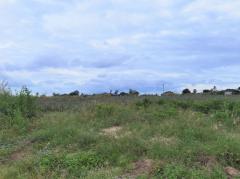 ขาย ที่ดิน WF132 แปลงเล็ก ราคาถูก ผัง EEC สีม่วงลาย พนานิคม นิคมพัฒนา ระยอง. 2 ไร่ 23 ตร.วา ติดถนนกว้าง 8 m ห่างถนน 3376 เพียง 200 m.-202507111725171752229517234.jpg