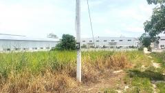 ขาย ที่ดิน WF132 แปลงเล็ก ราคาถูก ผัง EEC สีม่วงลาย พนานิคม นิคมพัฒนา ระยอง. 2 ไร่ 23 ตร.วา ติดถนนกว้าง 8 m ห่างถนน 3376 เพียง 200 m.-202507111725201752229520745.jpg