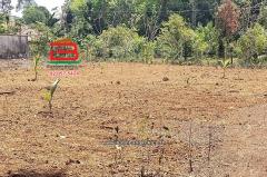 ที่ดินเปล่า อำเภอควนขนุน เนื้อที่ 950 ตร.ว ตำบลควนขนุน อำเภอควนขนุน จังหวัดพัทลุง-202507111732561752229976829.jpg