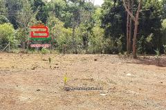 ที่ดินเปล่า อำเภอควนขนุน เนื้อที่ 950 ตร.ว ตำบลควนขนุน อำเภอควนขนุน จังหวัดพัทลุง-202507111732571752229977343.jpg