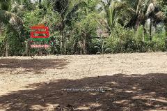 ที่ดินเปล่า อำเภอควนขนุน เนื้อที่ 950 ตร.ว ตำบลควนขนุน อำเภอควนขนุน จังหวัดพัทลุง-202507111732581752229978965.jpg