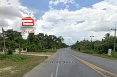 ที่ดินเปล่า อำเภอควนขนุน เนื้อที่ 950 ตร.ว ตำบลควนขนุน อำเภอควนขนุน จังหวัดพัทลุง-202507111732591752229979509.jpg