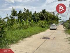 ขายที่ดิน เนื้อที่ 1 งาน 48.2 ตร.วา อุทัยใหม่ อุทัยธานี-202507120954131752288853950.jpg