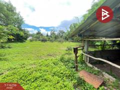 ขายที่ดิน เนื้อที่ 1 ไร่ 1 งาน 87.8 ตร.วา ดอยลาน เชียงราย-202507121007121752289632426.jpg