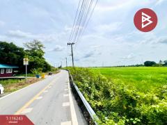 ขายที่ดิน เนื้อที่ 5 ไร่ 3 งาน 11 ตร.วา ลาดกระบัง กรุงเทพมหานคร-202507121208481752296928544.jpg