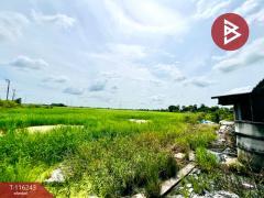 ขายที่ดิน เนื้อที่ 5 ไร่ 3 งาน 11 ตร.วา ลาดกระบัง กรุงเทพมหานคร-202507121208491752296929092.jpg