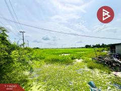 ขายที่ดิน เนื้อที่ 5 ไร่ 3 งาน 11 ตร.วา ลาดกระบัง กรุงเทพมหานคร-202507121208501752296930191.jpg
