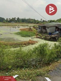ขายที่ดิน เนื้อที่ 5 ไร่ 3 งาน 11 ตร.วา ลาดกระบัง กรุงเทพมหานคร-202507121208521752296932934.jpg