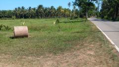 ขายที่ดินเปล่าเหมาะลงทุน จ.ชุมพร - ห่างหาดเพียง 5 นาที!-202507121438251752305905234.jpg