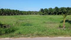 ขายที่ดินเปล่าเหมาะลงทุน จ.ชุมพร - ห่างหาดเพียง 5 นาที!-202507121438261752305906648.jpg