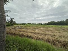 ขายที่ดิน เนื้อที่ 4ไร่ ต.เกาะพลับพลา อ.เมือง จ.ราชบุรี