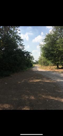 ขายที่ดิน เนื้อที่ 4ไร่ ต.เกาะพลับพลา อ.เมือง จ.ราชบุรี-202507121636321752312992268.jpg