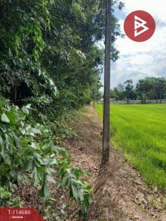 ขายที่ดิน เนื้อที่ 3 ไร่ ดงละคร นครนายก-202507121644271752313467970.jpg