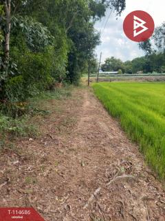 ขายที่ดิน เนื้อที่ 3 ไร่ ดงละคร นครนายก-202507121644291752313469074.jpg