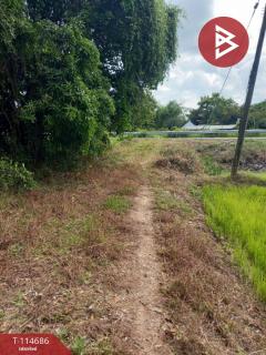 ขายที่ดิน เนื้อที่ 3 ไร่ ดงละคร นครนายก-202507121644291752313469852.jpg