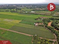 ขายที่ดิน เนื้อที่ 48 ไร่ 1 งาน 26 ตร.วา สะเดียง เพชรบูรณ์-202507121733351752316415753.jpg
