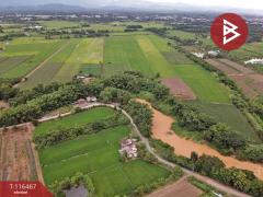 ขายที่ดิน เนื้อที่ 48 ไร่ 1 งาน 26 ตร.วา สะเดียง เพชรบูรณ์-202507121733361752316416867.jpg