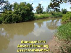 ที่ดินริมน้ำ ติดคลองท่าสารสายหลัก ได้ที่ฟรีอีกจำนวนหนึ่ง ที่สูงน้ำไม่ท่วม  8ไร่-202507121753031752317583963.jpg