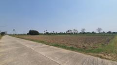 ฮวงจุ้ยดี ทำเลเยี่ยม ที่สวย ราคาถูก ติดทาง 3 ด้าน ติดคลองชลประทานใหญ่ ที่ดินสูง-202507121859521752321592485.jpg