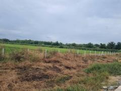ขายที่ดิน 40 ไร่ ถมแล้ว เขต EEC สีม่วงจุดสีขาว ติดถนนสาธารณะ อ.เมืองฉะเชิงเทรา รถใหญ่เข้าสะดวก