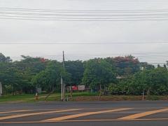 ขายด่วน! ที่ดินสวนเกษตรผสมผสานสไตล์รีสอร์ท อ.พัฒนานิคม จ.ลพบุรี พร้อมบ้านและสิ่งปลูกสร้างครบครัน โทร 063-3832910-202507131335041752388504821.jpg