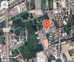 ขาย บ้านเดี่ยว ต่อเติมเต็มพื้นที่-ระเบียงกว้าง หมู่บ้านร่มประดู่ พุทธมณฑลสาย4 130 ตรม 50 ตรว-202507131537411752395861382.jpg