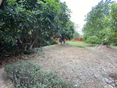 ขายบ้านแบบลานนาพร้อมที่ดิน ต. สันกลาง อ.สันป่าตอง จ.เชียงใหม่ -202507132217301752419850845.jpg