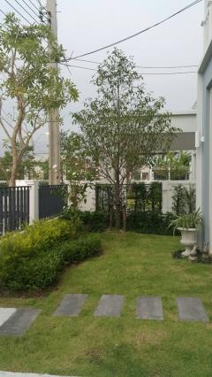 RM439 ให้เช่าบ้าน 2 ชั้น บ้านชวนชื่น นอร์ทวิลล์ วัชรพล พรัอมให้เช่าวันที่ 15 สิงหาคมนี้-202507132221021752420062339.jpg