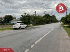ขายที่ดิน เนื้อที่ 73 ไร่ 87 ตร.วา ทัพทัน อุทัยธานี-202507140942021752460922921.jpg