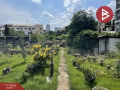 ขายที่ดิน เนื้อที่ 2 งาน 9 ตร.วา สวนหลวง กรุงเทพมหานคร-202507141114461752466486569.jpg