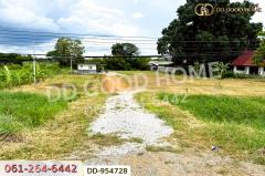 DD-954728 ที่ดินเมืองลำพูน 1 ไร่ 236 ตร.ว. ลำพูน ใกล้โกลบอลเฮ้าส์-202507141242091752471729530.jpg