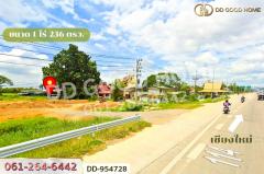 DD-954728 ที่ดินเมืองลำพูน 1 ไร่ 236 ตร.ว. ลำพูน ใกล้โกลบอลเฮ้าส์-202507141242101752471730726.jpg