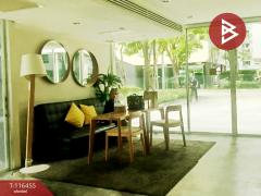 ขายคอนโด เอลลิโอ เดล เรย์ สุขุมวิท64 (Elio Del Ray Sukhumvit64) กรุงเทพมหานคร-202507141254541752472494951.jpg