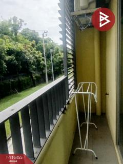 ขายคอนโด เอลลิโอ เดล เรย์ สุขุมวิท64 (Elio Del Ray Sukhumvit64) กรุงเทพมหานคร-202507141254581752472498760.jpg
