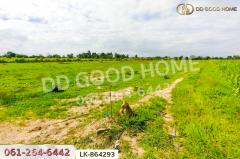 LK-864293 ที่ดินหนองหญ้าไซ 12 ไร่ 204 ตร.ว. สุพรรณบุรี ใกล้โรงเรียนบ้านหนองสำโรง-202507141336401752475000172.jpg