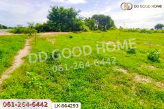 LK-864293 ที่ดินหนองหญ้าไซ 12 ไร่ 204 ตร.ว. สุพรรณบุรี ใกล้โรงเรียนบ้านหนองสำโรง-202507141336401752475000752.jpg