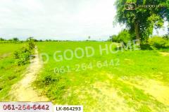 LK-864293 ที่ดินหนองหญ้าไซ 12 ไร่ 204 ตร.ว. สุพรรณบุรี ใกล้โรงเรียนบ้านหนองสำโรง-202507141336411752475001368.jpg
