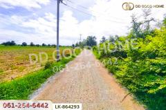 LK-864293 ที่ดินหนองหญ้าไซ 12 ไร่ 204 ตร.ว. สุพรรณบุรี ใกล้โรงเรียนบ้านหนองสำโรง-202507141336421752475002531.jpg