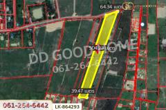 LK-864293 ที่ดินหนองหญ้าไซ 12 ไร่ 204 ตร.ว. สุพรรณบุรี ใกล้โรงเรียนบ้านหนองสำโรง-202507141336441752475004343.jpg