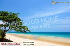 MM-623093 ที่ดินเพ 193.1 ตร.ว. ระยอง ใกล้หาดแม่รำพึง-202507141408141752476894697.jpg