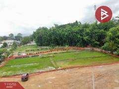 ขายที่ดิน เนื้อที่ 2 ไร่ 72.9 ตร.วา เวียงชัย เชียงราย-202507141431221752478282557.jpg