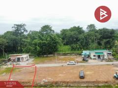 ขายที่ดิน เนื้อที่ 2 ไร่ 72.9 ตร.วา เวียงชัย เชียงราย-202507141431231752478283107.jpg