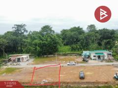ขายที่ดิน เนื้อที่ 2 ไร่ 72.9 ตร.วา เวียงชัย เชียงราย-202507141431231752478283675.jpg