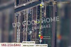 MM-623096 ที่ดินธัญบุรี 180 ตร.ว. หมู่บ้านทิพย์ธิดาแลนด์ 2 คลอง 11 ปทุมธานี ใกล้องค์การเภสัชกรรมธัญบุรี-202507141505331752480333902.jpg