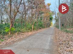 ขายที่ดินพร้อมสวนยาง เนื้อที่ 2 ไร่ เกาะกูด ตราด-202507141506591752480419587.jpg